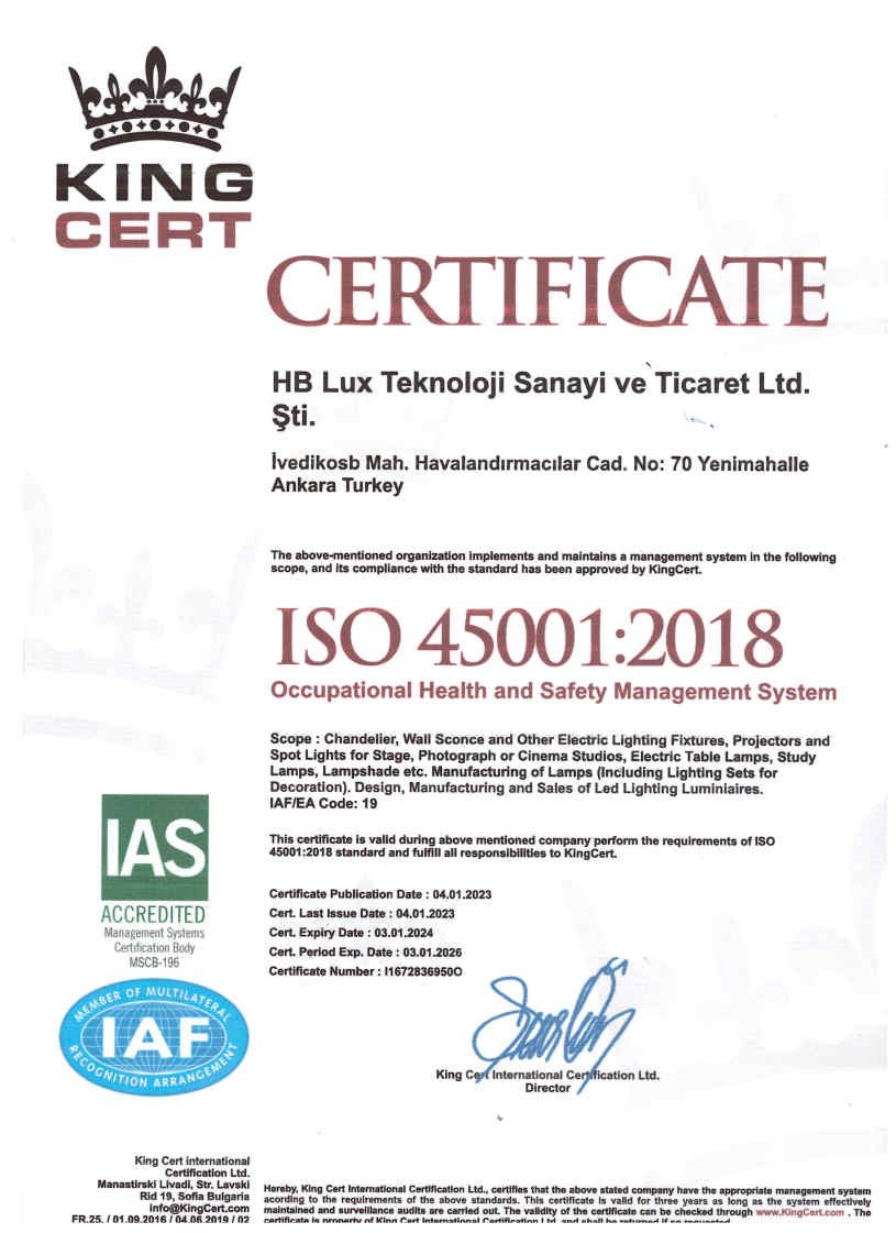 OCCUPATIONALHEALTHANDSAFETYMANAGEMENTSYSTEM